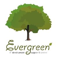 Evergreen