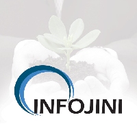 Infojini Consulting
