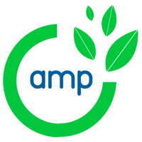 AMP Digital Agency