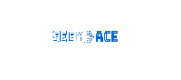 SeekACE Solutions Pvt Ltd_logo