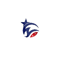 Windstar Games_logo