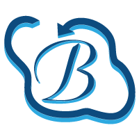 Bhavitra Technologies Limited_logo