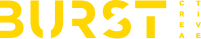 Burst Creative group_logo