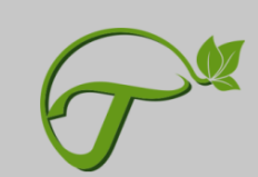 Thanushinfosolutions_logo