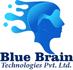 Blue Brain Technologies Pvt Lt_logo