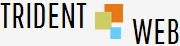 Trident Web Infoservices_logo