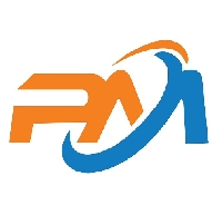 PM IT Solution_logo