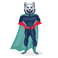 Digiwolves Pvt Ltd._logo