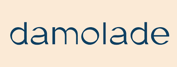 damolade consulting_logo