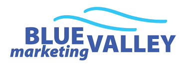 Blue Valley Marketing _logo