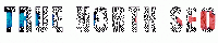 true north seo_logo