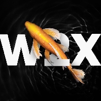 W2XLabs_logo