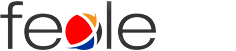 Fexle Infotech Private Limited_logo