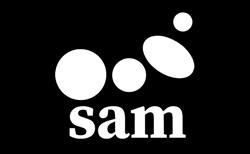 Silver Ant Marketing_logo