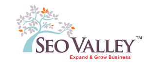 SEOValley Solutions Pvt. Ltd_logo