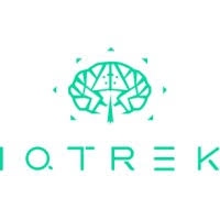 IQTrek Consulting_logo