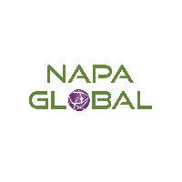 NAPA Global_logo