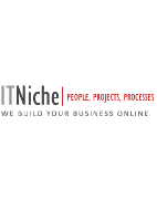IT Niche_logo