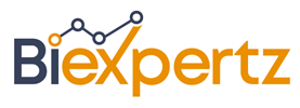 BI Expertz_logo