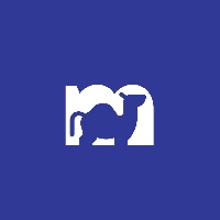 CAMELSOFT LLC_logo