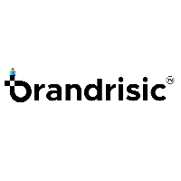 Brandrisic Media Pvt Ltd_logo